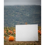 Pumpkin Patch Printed Backdrop