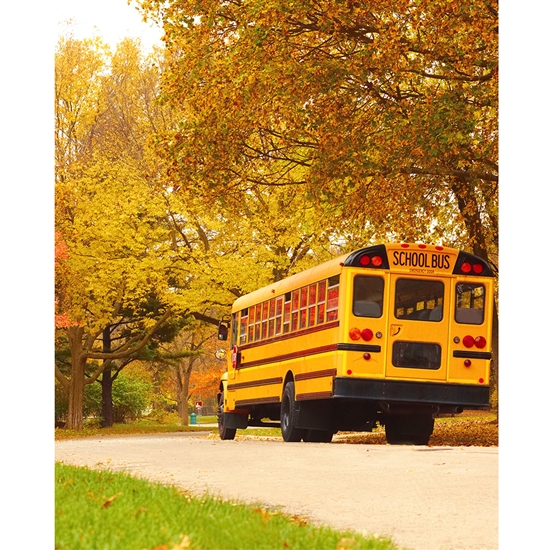 School Bus Printed Backdrop