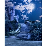Enchanted Castle Printed Backdrop