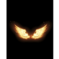 Phoenix Wings Printed Backdrop