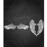 Falcon & Angel Wings Printed Backdrop