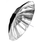 Silver / Black Umbrella