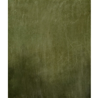 Deep Dark Green Light Texture Printed Backdrop