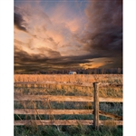 Stormy Grassland Printed Backdrop