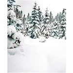 Winter Wonderland Scenic Printed Backdrop