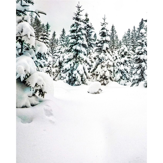 Winter Wonderland Scenic Printed Backdrop