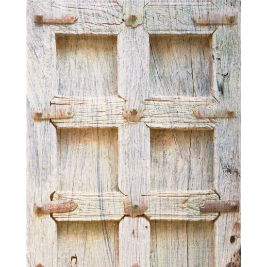 Old Wooden Door Printed Backdrop