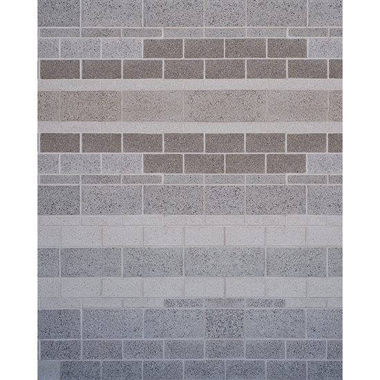 Concrete Brick Wall Printed Backdrop