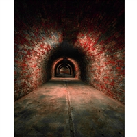 Brick Tunnel Printed Backdrop