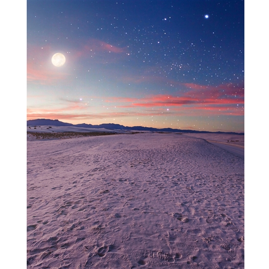 Desert Moon Printed Backdrop