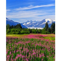 Alaskan Meadow Printed Backdrop