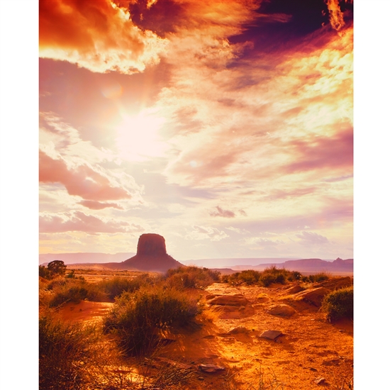 Desert Sky Printed Backdrop