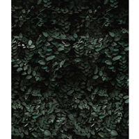 Dark Green Foliage Wall Printed Backdrop