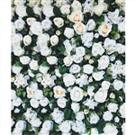 Large White Rose Wall Printed Backdrop