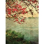 Vintage Lake Printed Backdrop