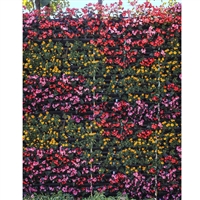 Floral Wall Printed Backdrop