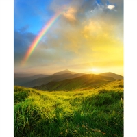 Rainbow Field Printed Backdrop