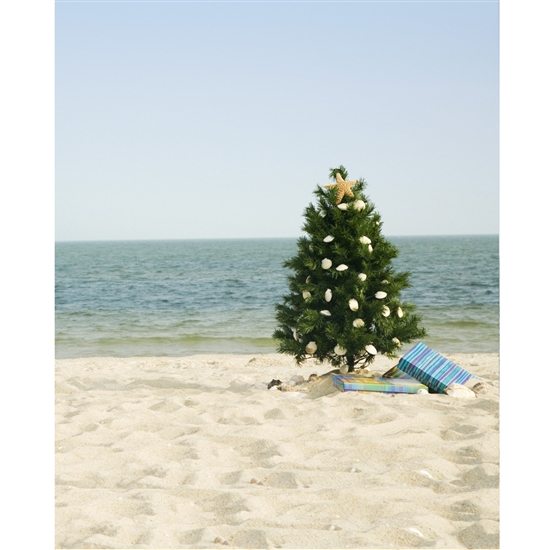 Christmas on the Beach Printed Backdrop