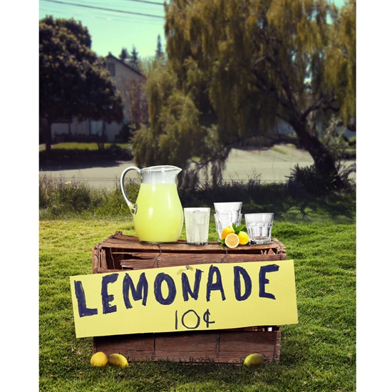 Summer Lemonade Stand Printed Backdrop