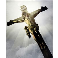 Crucifix Printed Backdrop