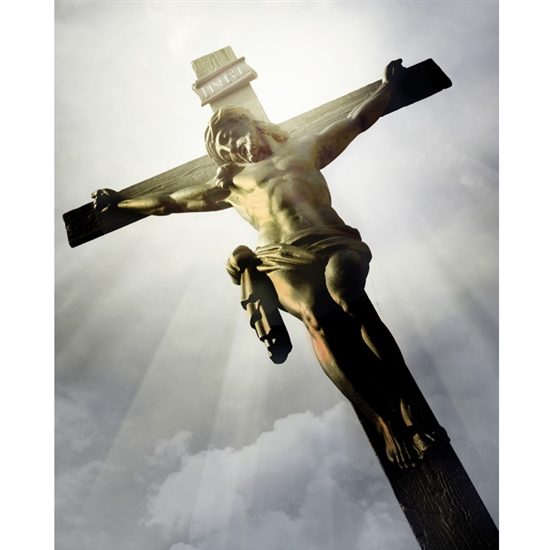 Crucifix Printed Backdrop