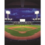 Baseball View Printed Backdrop