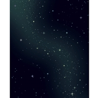 Star Constellations Printed Backdrop