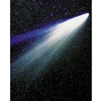 Halley's Comet Printed Backdrop