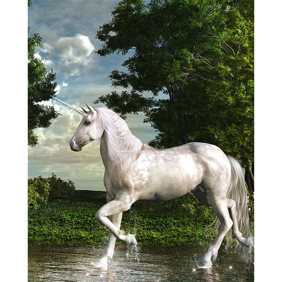Unicorn Lake Printed Backdrop