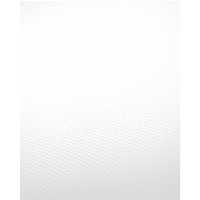 Pure White Vinyl Background | Backdrop Express
