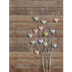 Country Hearts Printed Backdrop