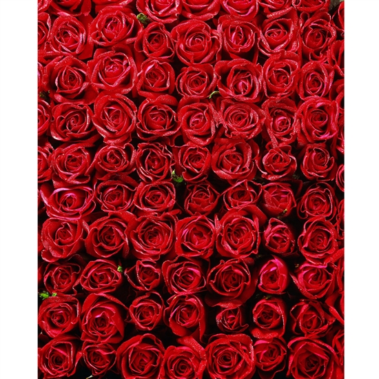 Bed of Roses Printed Backdrop